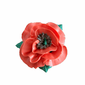 Poppy Flower