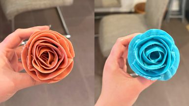 Cupcake Flowers: Rose red & blue